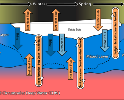 Conceptual diagram showing the seasonal progression of heat and salt fluxes and related feedback processes that control sea-ice formation and melt.