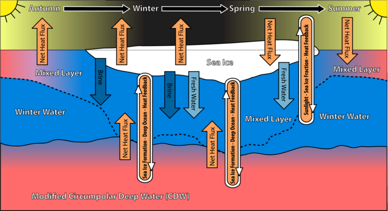 Conceptual diagram showing the seasonal progression of heat and salt fluxes and related feedback processes that control sea-ice formation and melt.