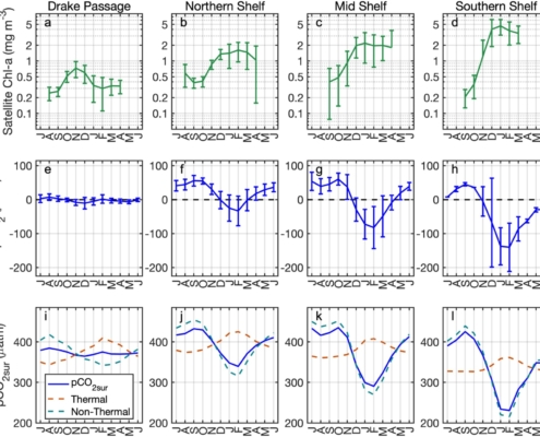 Seasonal cycles of Chl‐a, ΔpCO2, and pCO2sur from 2000–2020 for the Drake Passage, Northern Shelf, Mid Shelf, and Southern Shelf subregions.