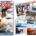 A cover of Ranger Rick magazine, with a Gentoo penguin swimming in ice waters. On the right, a spread of several pages from the magazine with several penguin pictures.
